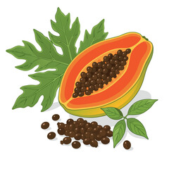 Fototapeta premium Papaya with the seeds and leaf 
