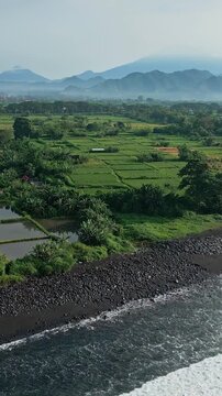 Aerial coastline volcano Agung lush rice terraces, black pebble beach and rolling surf, misty mountain layers, reflective irrigation ponds and verdant farmland in soft morning,Bali,vertical video