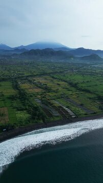 Aerial rice paddies along volcanic coastline showing emerald terraces, black sand shore and gentle surf drone survey footage capturing misty mountains, rural village lanes,Bali,Indonesia