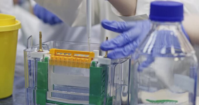 A group of scientists are working on adding protein samples to polyacrylamide gel electrophoresis.