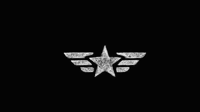 Sketch air force icon animation - smooth progressive reveal