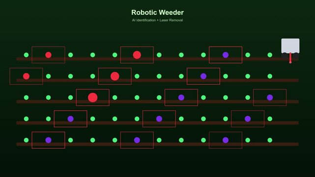 Robotic weeder ai technology: automated precision laser weed removal system for smart agriculture and sustainable farming innovation