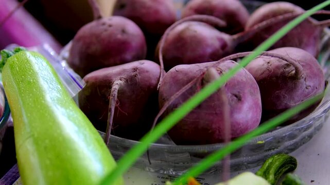 young beets. Bucket with young fresh beets on grey background. dig up beets to harvest