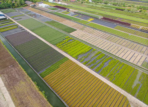 Aerial view capturing multiple plant nursery fields with rows of growing crops in Europe