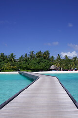 Fototapeta premium Tropical Paradise in the Maldives with Crystal Clear Turquoise Water