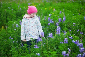 Young girl walking in a colorful lupine flower meadow on a summer day in Iceland. © Ekaterina Pokrovsky