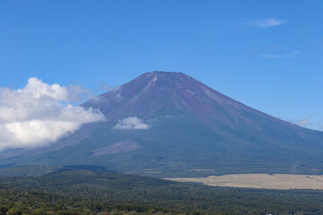 Fototapeta premium 夏の富士山（山梨県山中湖村）