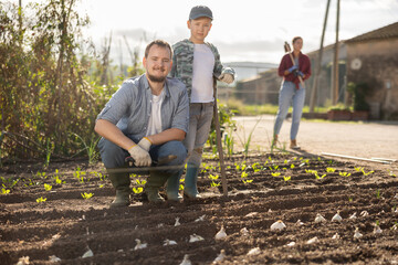 Obraz premium Farmer and his son plant garlic in cultivated and fertilized soil in the garden. Family of farmers grows organic vegetables and herbs. Seed planting season on the farm.