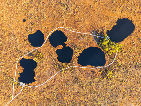 Aerial view of bog pools and wooden boardwalk in Soomaa National Park, featuring dark water ponds surrounded by golden-brown peat moss in Riisa, Parnu County, Estonia.
