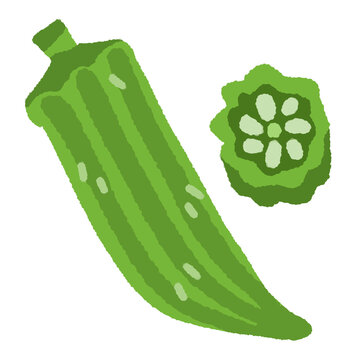 Okra flat illustration, lady finger abelmoschus esculentus whole and cross section vegetable clipart