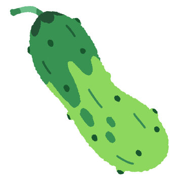 Cucumber flat illustration, Asian cucumber cucumis sativus short stubby vegetable clipart