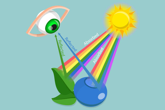 3D Isometric Flat Vector Illustration of Light Reflection, Yellow And Green Reflection In Eye