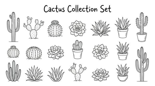 Minimalistic Line Art Illustration Collection of Desert Cactus and Succulent Plant Set Featuring Various Botanical Species for Clean Modern Aesthetic Design and Creative Nature Projects