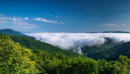 Obraz premium Low Clouds In The Appalachian Mountains West Virginia