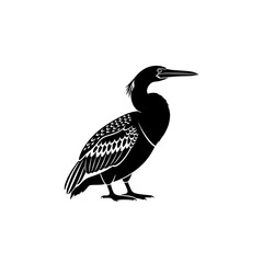 Fototapeta premium Black Silhouette of Cormorant Bird Standing Isolated on White Background