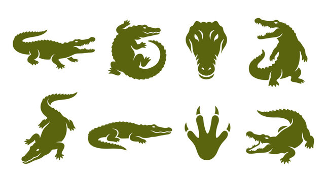 Green crocodile and alligator silhouette icon set collection.