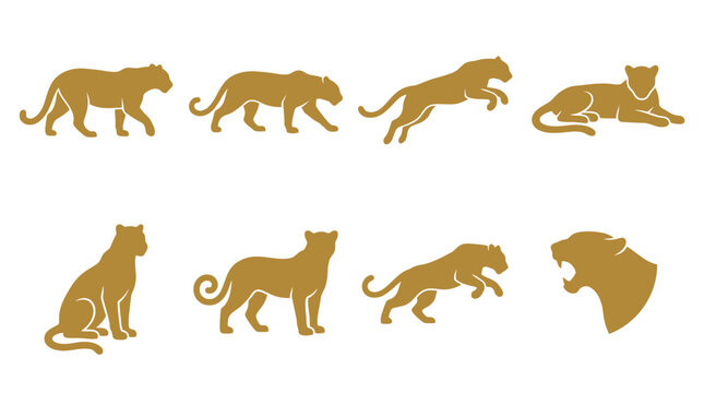 Tan cougar silhouette elements.
