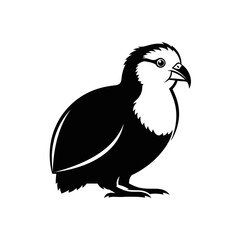 Fototapeta premium Quail Bird Silhouette Vector Illustration