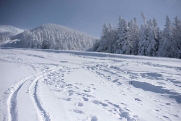 Obraz premium ski track in the mountains
