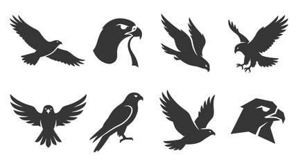 Black hawk and falcon silhouette graphic collection © siti