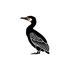 Fototapeta premium Stylized Black Cormorant Bird Illustration on White Background
