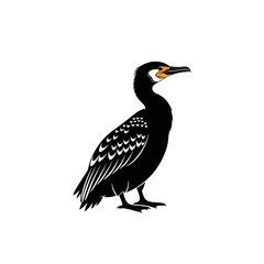 Fototapeta premium Stylized Black Cormorant Bird Illustration, Isolated on White Background