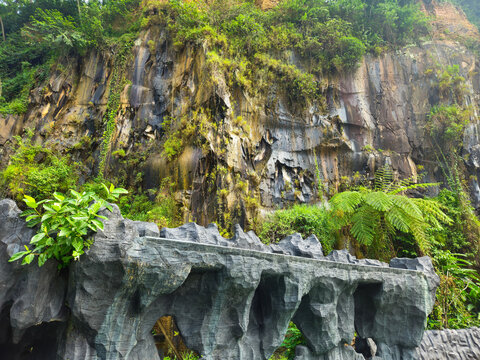 Inactive artificial rock waterfall feature over a green swimming pool set against a natural cliff with lush tropical foliage