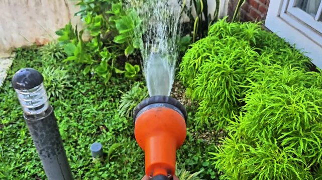 First-person POV of watering a lush green home garden using a bright orange hose spray nozzle on a sunny day.