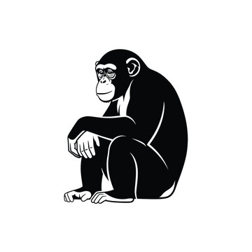 Chimpanzee sitting in a thoughtful pose.