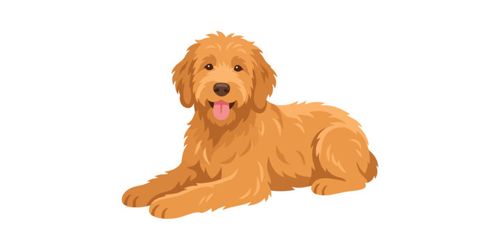 Cute cartoon golden doodle dog lying down illustration for pet lovers and animal enthusiasts