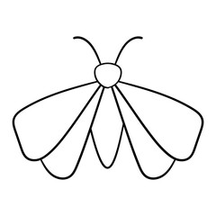 Naklejka premium Moth