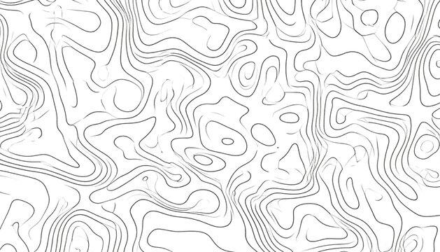 Gray topographic map contour lines.