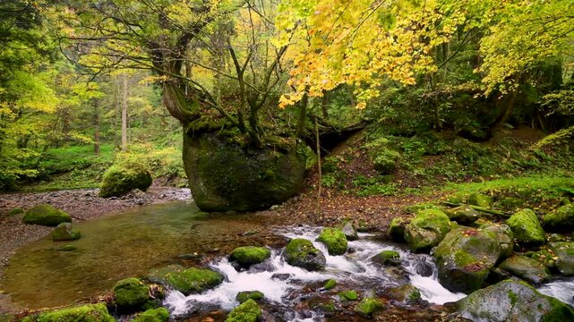 ネコバリ岩と馬場目川の紅葉