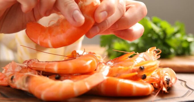 Woman peeling freshly cooked shrimp at table, closeup