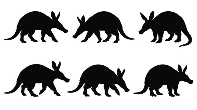Aardvark silhouette walking on white background
