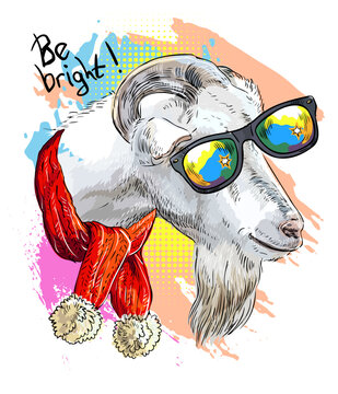 Funny goat in sunglasses design vector illustration