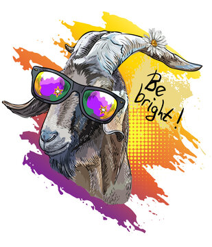 Horned goat in sunglasses design vector illustration