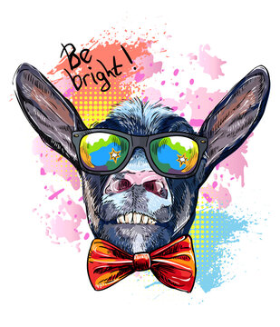 Cool hipster goat in sunglasses design vector illustration