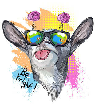 Close up goat in funny glasses sticks out his tongue design vector illustration