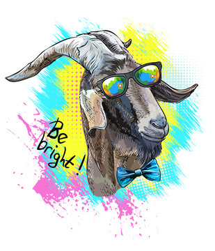 Cool close up goat with big horns in sunglasses design vector illustration