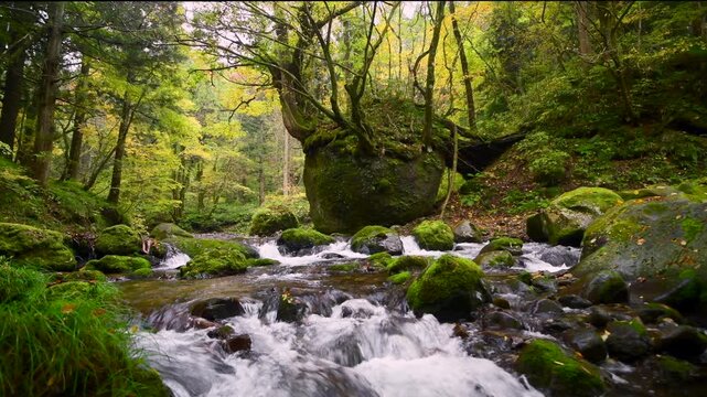 ネコバリ岩と馬場目川の紅葉