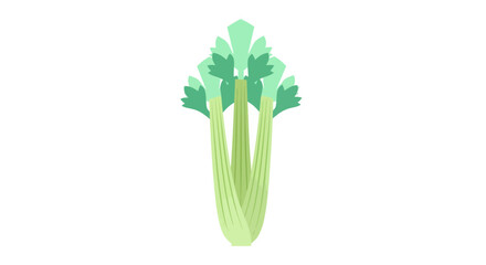 Fresh green celery stalk bunch vector illustration. © bahriri