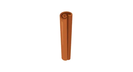 Single cinnamon stick spice illustration. © bahriri