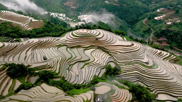 Hmong farmers prepare their fields and plant rice on terraced fields . Photo taken in Tuyen Quang on June 20, 2026
