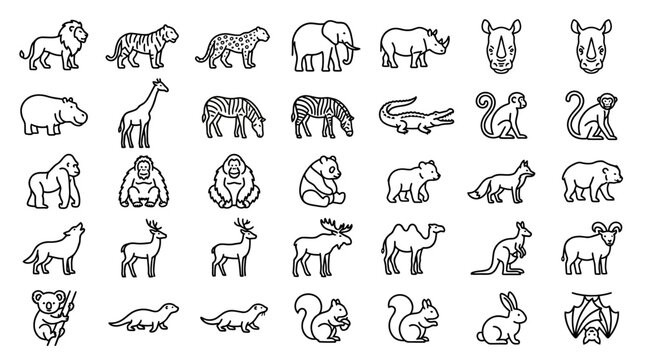 Collection of various animal line drawings.