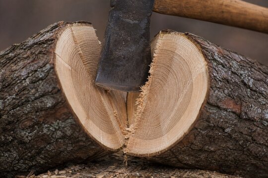 A wooden log cleanly split by an axe, revealing a fresh cross-section.