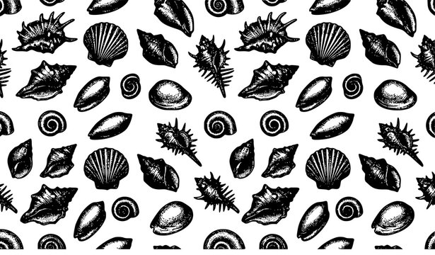 Vintage Engraved Seashell Seamless Pattern Vector with Monochrome Line Art for Marine Coastal Textile and Wallpaper Design