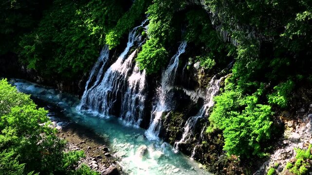 白ひげの滝