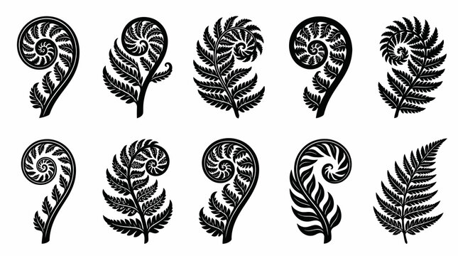 Black and white stylized fern fronds and Koru spirals vector collection for nature and plant design.
