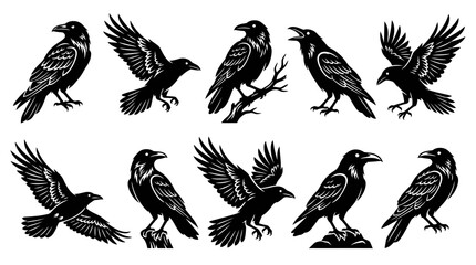 Obraz premium Black Raven Silhouettes Set, Flying and Perching Birds, Vector Graphics